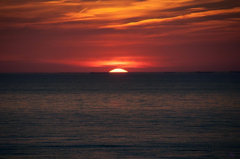 Berrie'S Sea View Daire Zandvoort Dış mekan fotoğraf