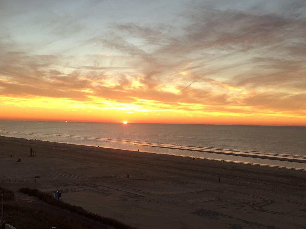 Berrie'S Sea View Daire Zandvoort Dış mekan fotoğraf
