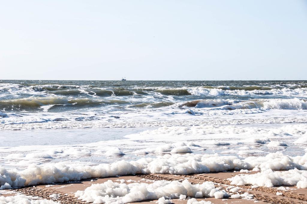 Berrie'S Sea View Daire Zandvoort Dış mekan fotoğraf